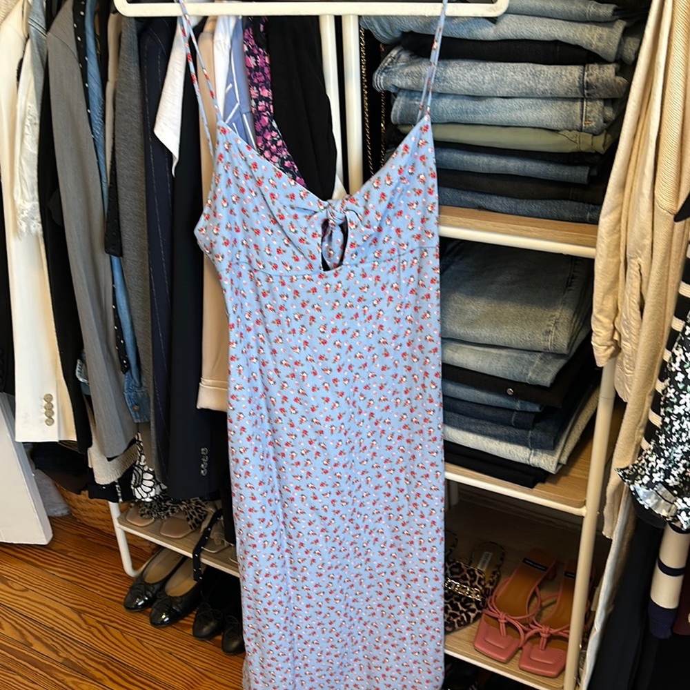 Zara Blue Floral Maxi Dress